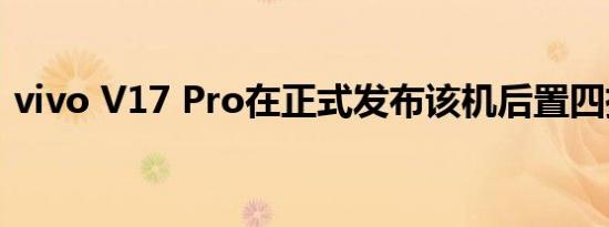 vivo v17 pro在正式发布该机后置四摄像头