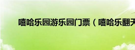 嘻哈乐园游乐园门票（嘻哈乐翻天）