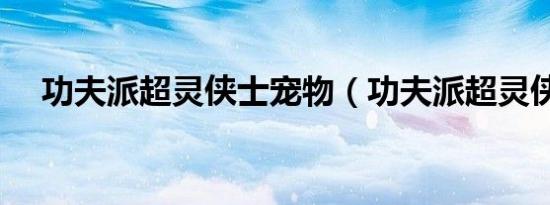 功夫派超灵侠士宠物（功夫派超灵侠士）