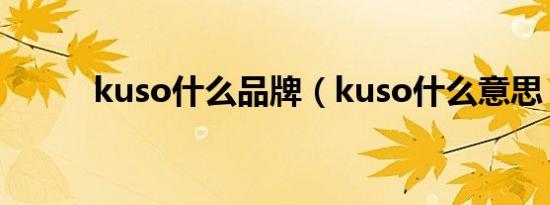 kuso什么品牌（kuso什么意思）