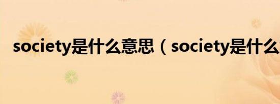 society是什么意思（society是什么意思）