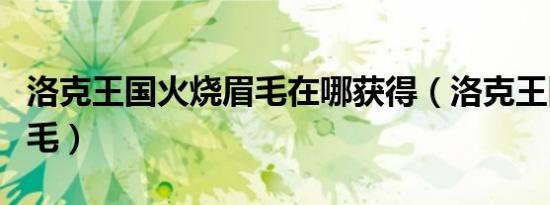 洛克王国火烧眉毛在哪获得（洛克王国火烧眉毛）