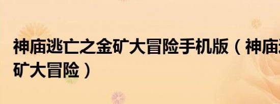 神庙逃亡之金矿大冒险手机版（神庙逃亡之金矿大冒险）