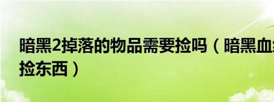 暗黑2掉落的物品需要捡吗（暗黑血统2怎么捡东西）