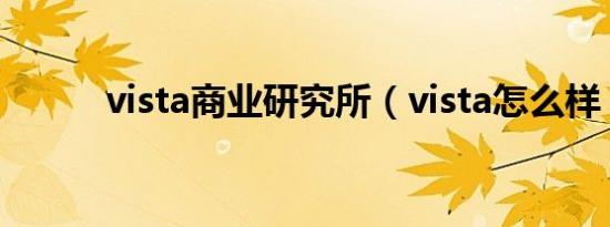 vista商业研究所（vista怎么样）