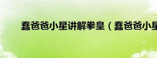 蠢爸爸小星讲解拳皇（蠢爸爸小星）