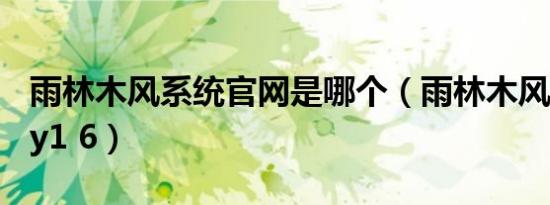 雨林木风系统九游会登录地址官网是哪个（雨林木风系统diy y1 6）
