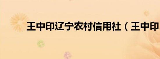 王中印辽宁农村信用社（王中印）