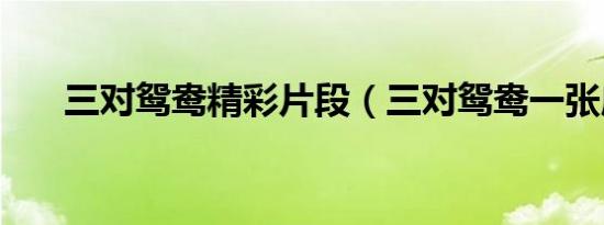 三对鸳鸯精彩片段（三对鸳鸯一张床）