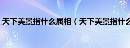 天下美景指什么属相（天下美景指什么生肖）