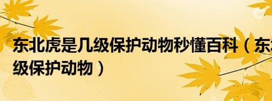 生死狙击魅影的身高（生死狙击魅影的故事）