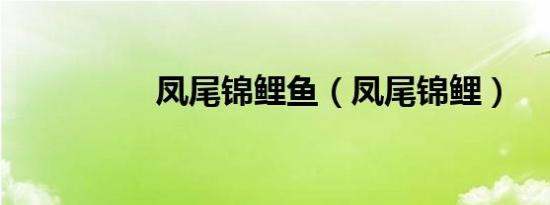 快乐大本营20101012（快乐大本营20101127）