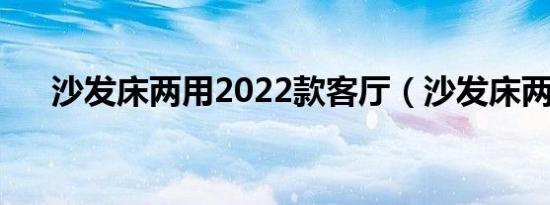 沙发床两用2022款客厅（沙发床两用）