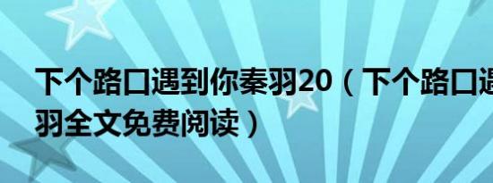 下个路口遇到你秦羽20（下个路口遇见你秦羽全文免费阅读）