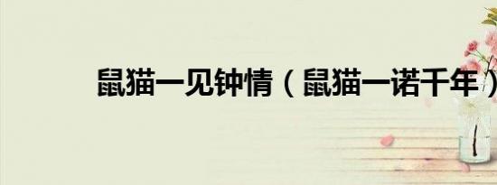 鼠猫一见钟情（鼠猫一诺千年）