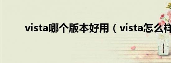 vista哪个版本好用（vista怎么样）