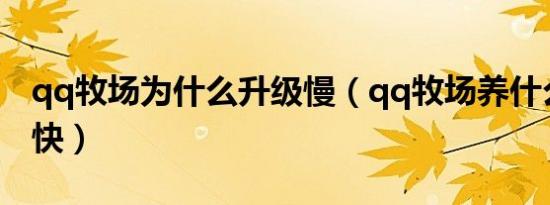 qq牧场为什么升级慢（qq牧场养什么升级最快）