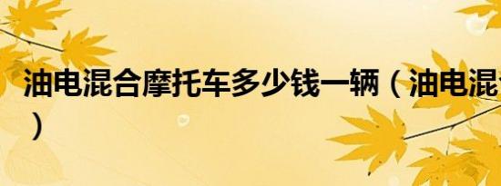 油电混合摩托车多少钱一辆（油电混合摩托车）