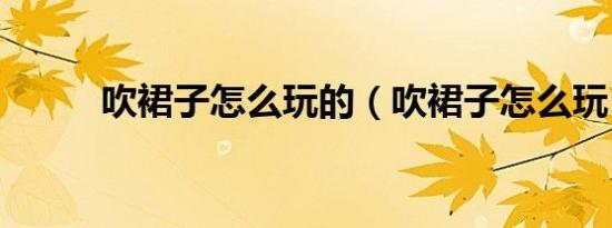 吹裙子怎么玩的（吹裙子怎么玩）