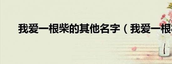 我爱一根柴的其他名字（我爱一根材）