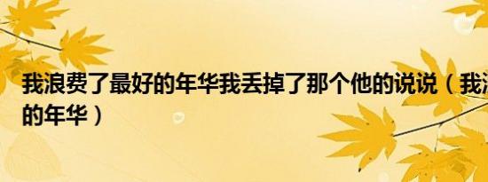 我浪费了最好的年华我丢掉了那个他的说说（我浪费了最好的年华）