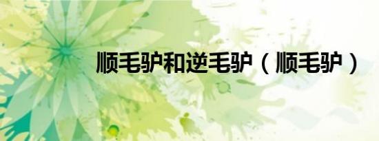 顺毛驴和逆毛驴（顺毛驴）