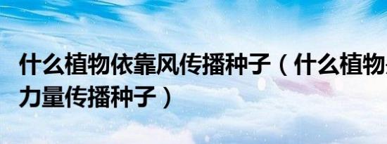 什么植物依靠风传播种子（什么植物是靠风的力量传播种子）