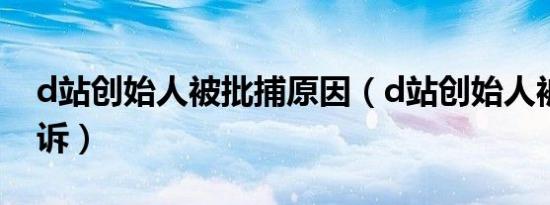 d站创始人被批捕原因（d站创始人被提起公诉）